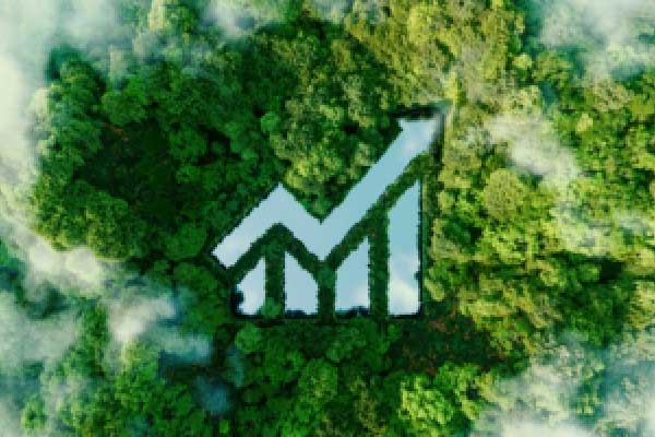 银行股保持强势背后 5家公司业绩报喜